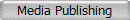 Media Publishing